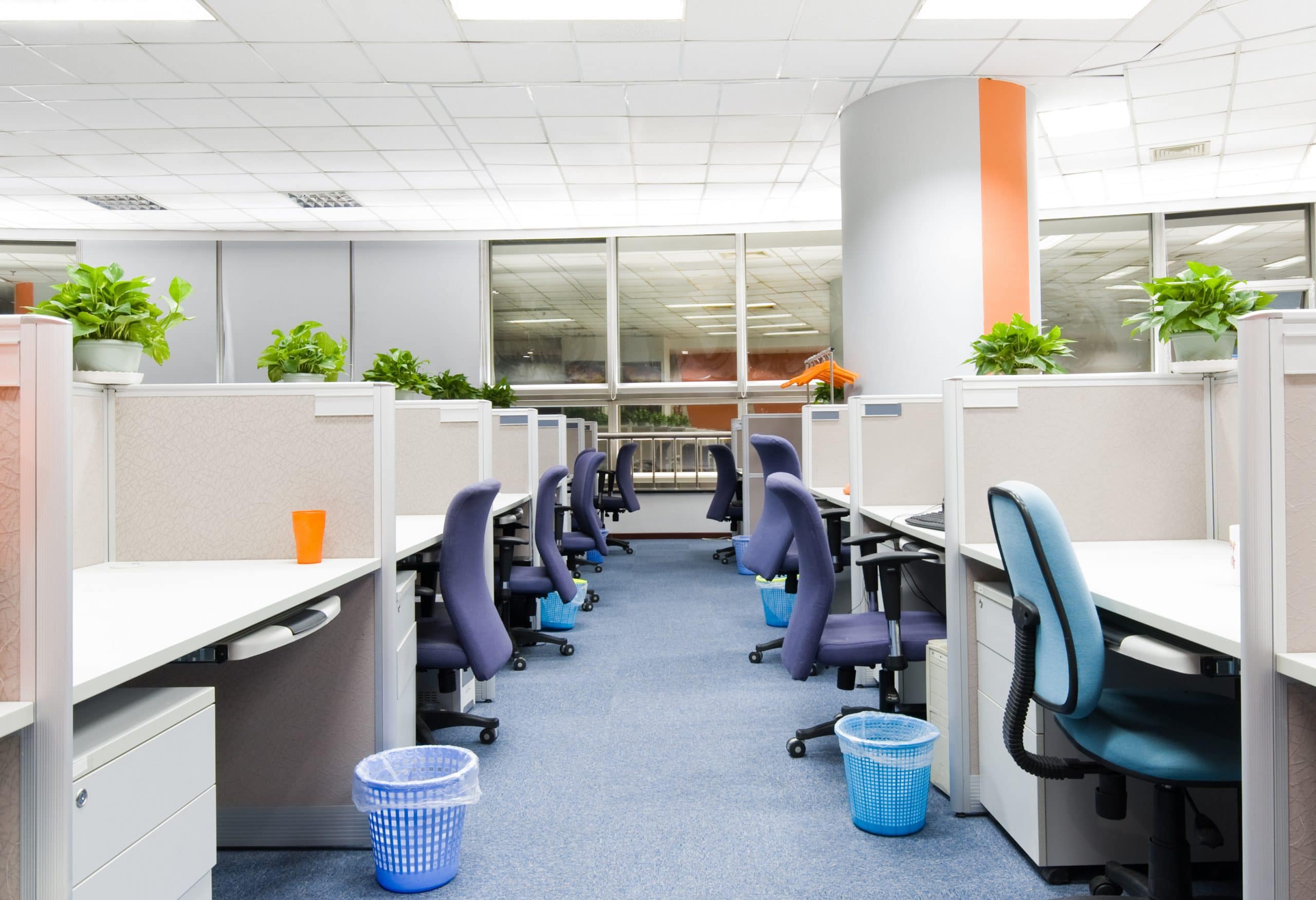 Commercial cleaning